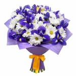 Гиацинт фиолетовый - магазин цветов «Фиеста» в Великом Новгороде